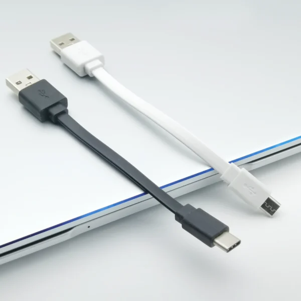 Flat “Noodle” USB Charging Cable